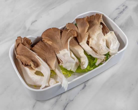 Oyster Mushroom / 蚝菇